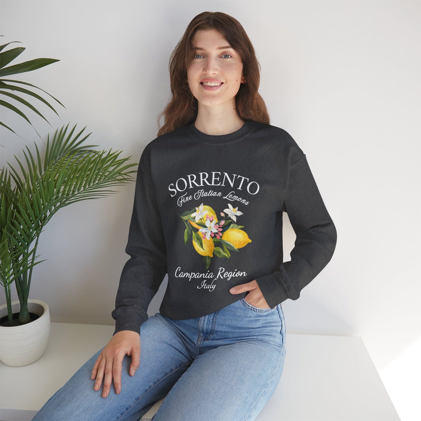 Sorrento Graphic Sweatshirt