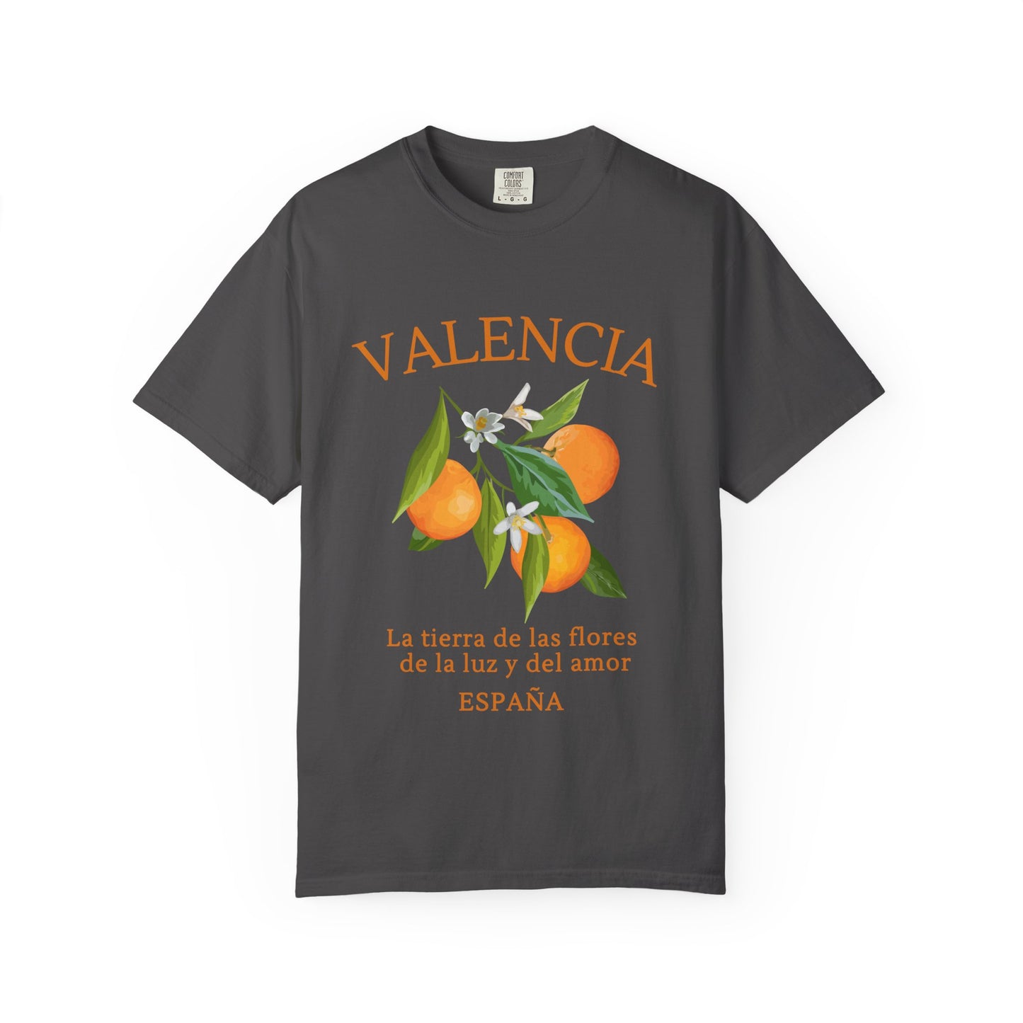 Valencia Graphic T-Shirt - Spain Travel Tee